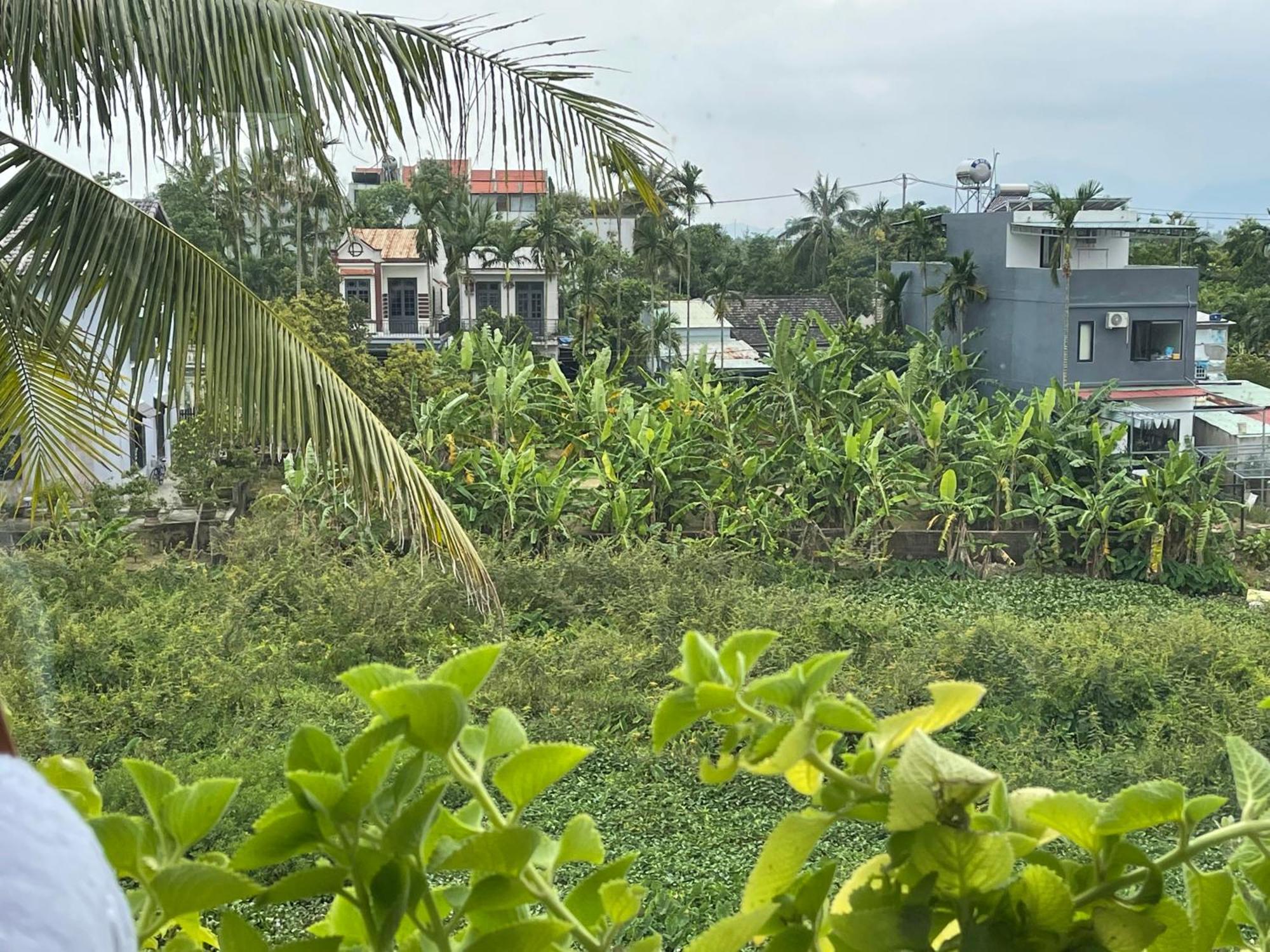 Hoi An Ti Hon House Villa Exterior photo